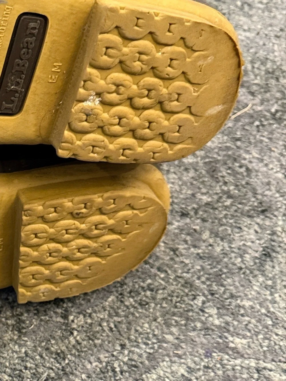 L.L. Bean 8